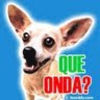 anifal98